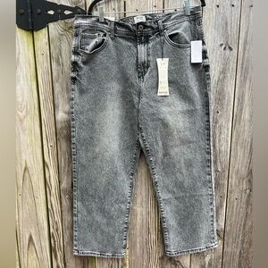 NWT Kensie The Mila High Rise Straight Jeans Sz 14 32